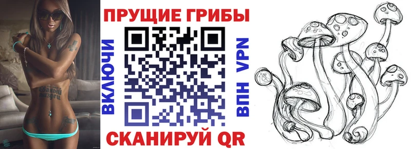 блэк спрут ссылка  Осташков  Псилоцибиновые грибы прущие грибы  купить закладку 