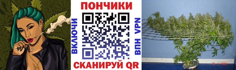 Бошки марихуана индика  Осташков 